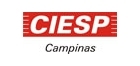 logo_ciesp_s